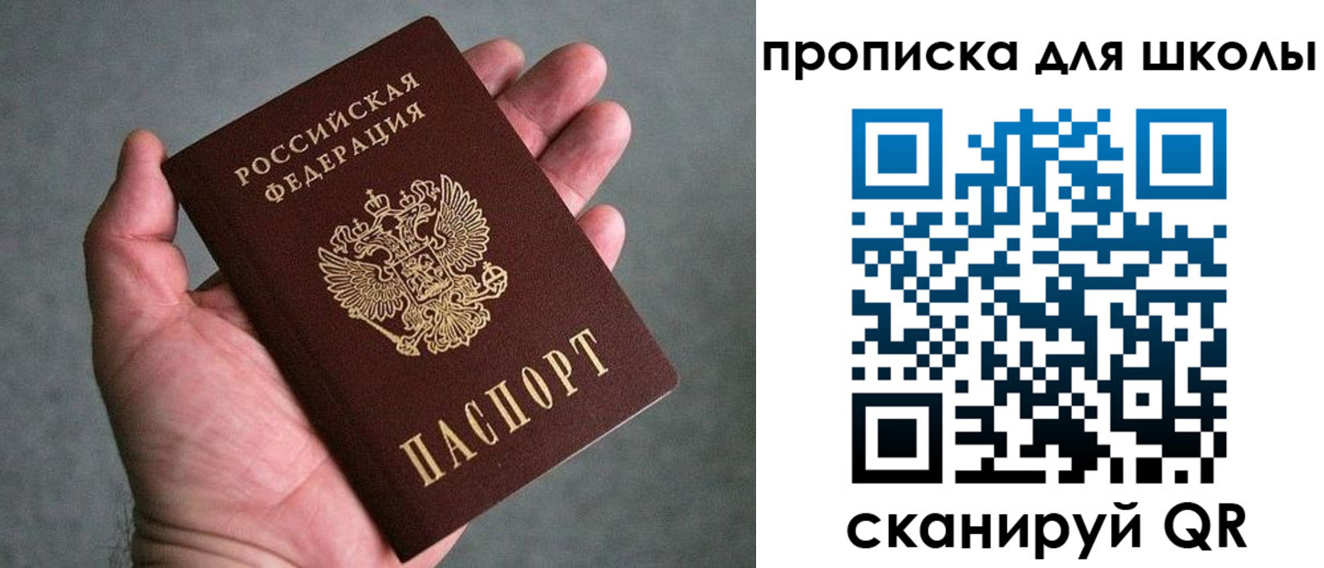 прописка для школы в Сальске